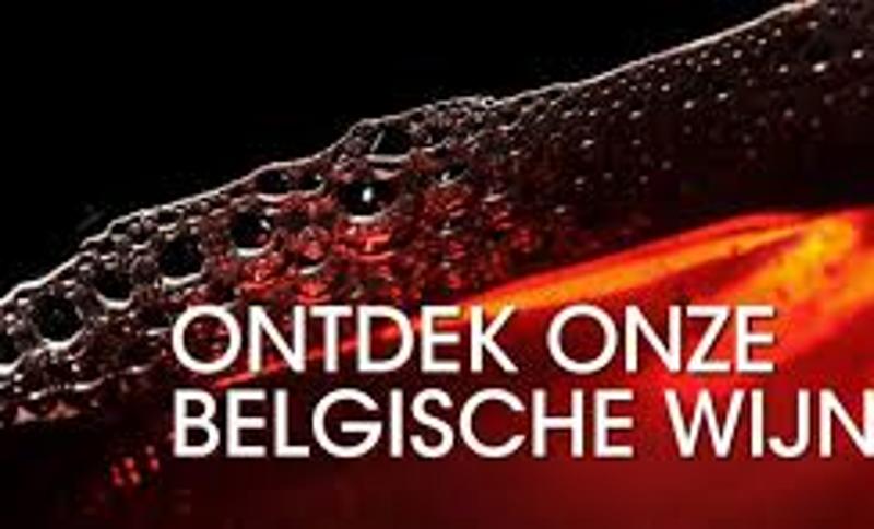Nieuw in assortiment Belgische wijnen - Blog